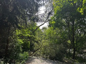 IMG_3255