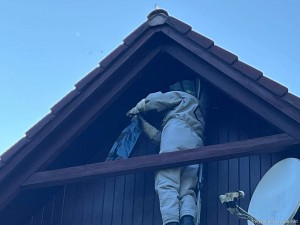 IMG_3323